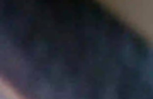 XXX تامیل حیوانات گوناگون نشان می دهد 1