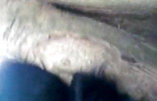 XXX هندی, فیلم سکسی داستان خاله 1335