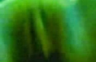 XXX هندی ضعف مواد مخدر و شوهر, وب کم