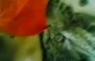 XXX دسر باید در قانون ادم کودن و احمق و گربه نشان می دهد - JP