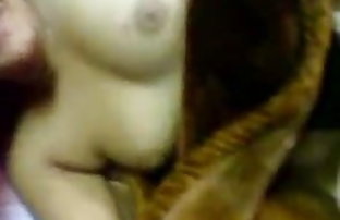 XXX 22 U لوله های پورنو, مشاهده
