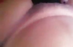 XXX شمال, زیبایی, فلاش