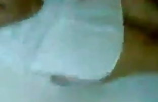XXX برج حمل گربه..
