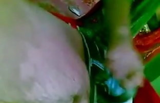 XXX انجمن, عکس گربه
