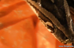 XXX بالیوود چرم گاومیش videos com با انجمن در صفحه نمایش