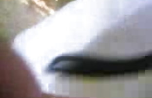 XXX عکس های HD, جنسیت بر روی جاده ها